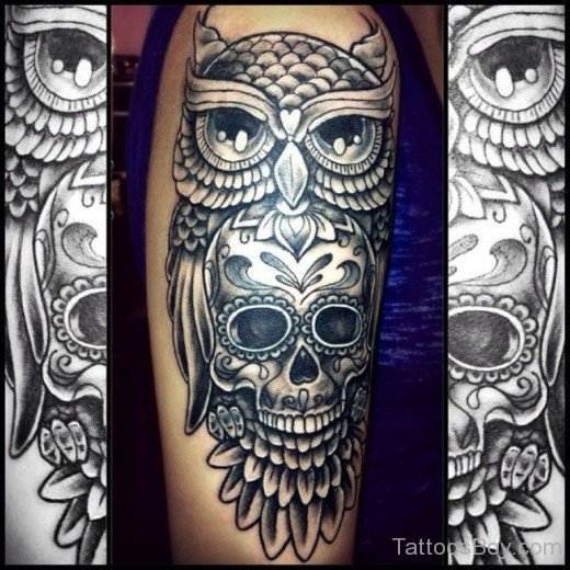 Skull And Owl Tattoo Design-TB1163