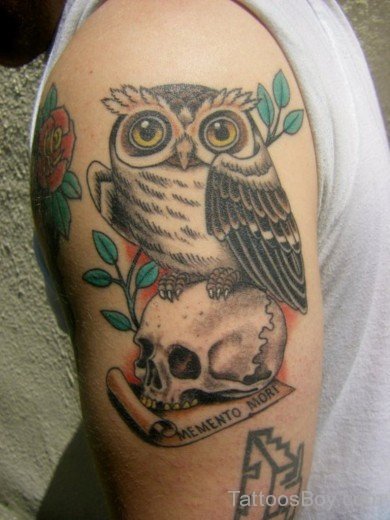 Skull And Owl Tattoo On Bicep-TB1165