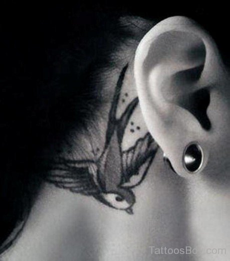 Swallow Tattoo Design On Behind Ear-TB1450