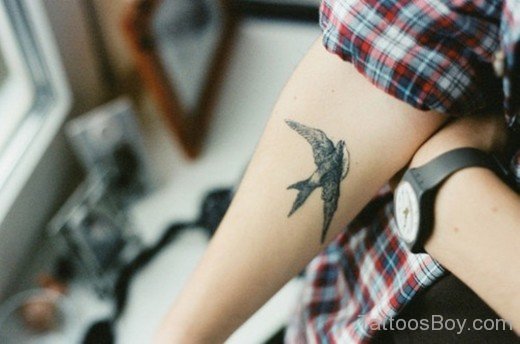 Swallow Tattoo Design On Elbow-TB1452