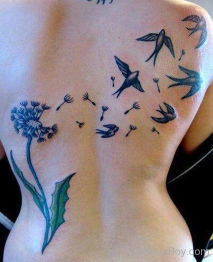 Swallow Tattoo On Back