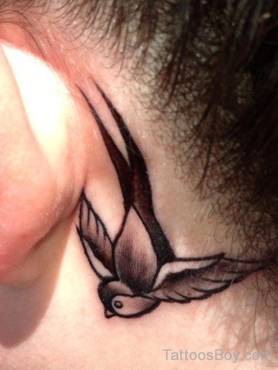 Swallow Tattoo On Behind Ear-TB1469