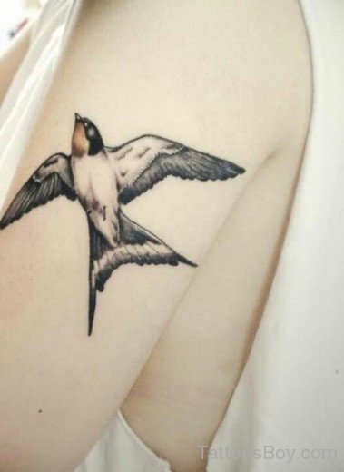 Swallow Tattoo 