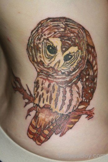 Unique Owl Tattoo On Rib