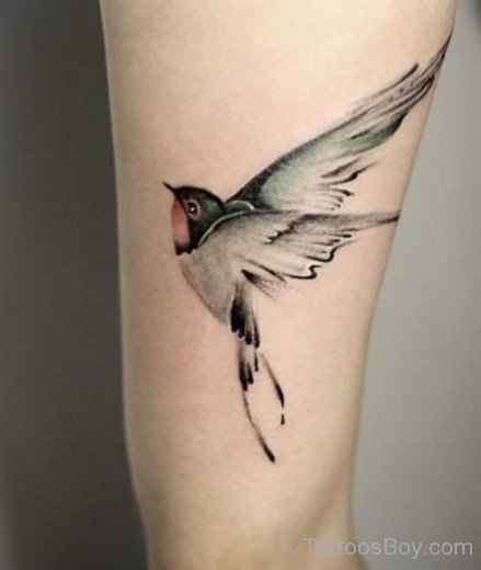 Wonderful Bird Tattoo