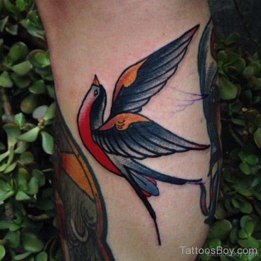 Swallow Tattoo Design